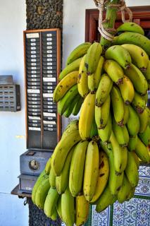 Finca Für 22 Personen In Alcala - Alcalá - 2