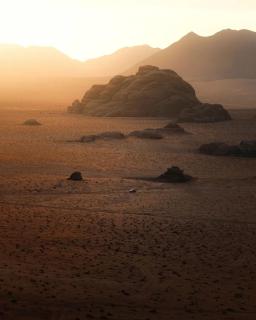 Wadi Rum Thamer - 1