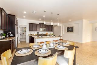 Dapple Gray Queen Creek - 4