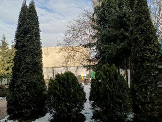 Apartament nr 8 - Kamienica Kameralna - Senatorska 4 - Dostęp na kod - Łódź - 5
