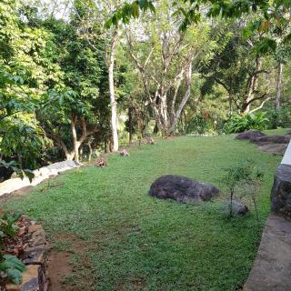 La Grolla Houses - Unawatuna - 5