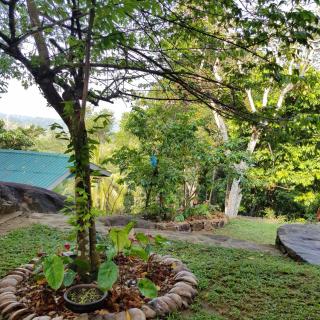 La Grolla Houses - Unawatuna - 8