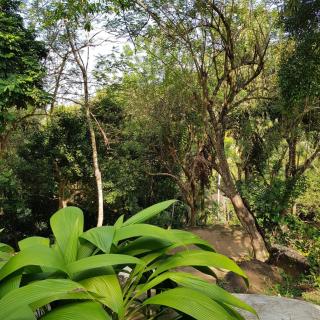 La Grolla Houses - Unawatuna - 9