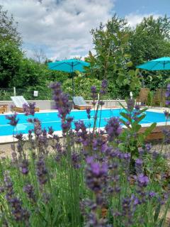 Vila Kraljev Breg Fruška Gora Pool and Padel - 7