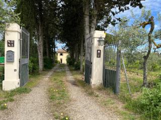 Podere Il Gufo - Tresanti - 9