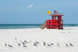 Cozy Retreat pvt rm Close to Siesta Keys J3A shared home - Sarasota - 0