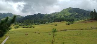 Nuku Hiva Pitake Lodge - Nuku Hiva - 4