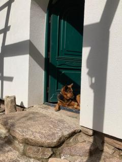 Dom Gościnny Zarembianka - 2