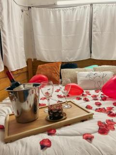 Glamping Bus Los Lirios - Arteaga - 6