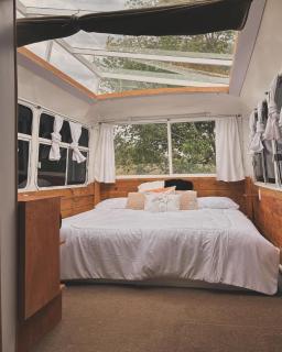 Glamping Bus Los Lirios - Arteaga - 5