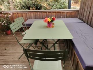 T1bis dans les dunes du Cap Ferret - 1