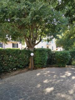 Vacanza nel boschetto - Narni - 7