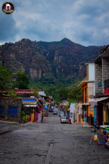 NUEVA Bamboo LA TEPOZTECA - 8