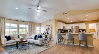 Heatherbrae Phoenix - Phoenix - 8