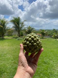 Recanto do Sossego - São José de Mipibu - 8