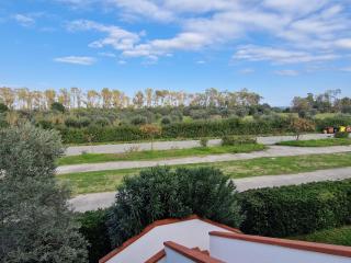 Nina's house ulivo sul mare a 300 mt dal mare - 2