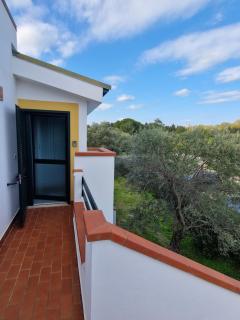 Nina's house ulivo sul mare a 300 mt dal mare - 1