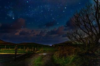 Tigin Dingle - Dingle - 6
