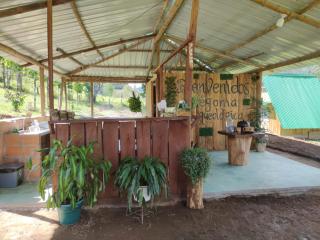 Finca Vegonia Arqueológica - 9