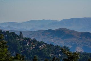 Bear Springs Cabin - Lake Arrowhead - 5