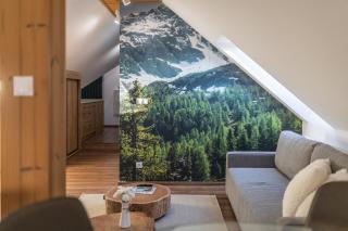 Forest oasis - mountain attic in High Tatras - Veľká Lomnica - 9
