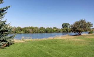 Chester Currents - 6