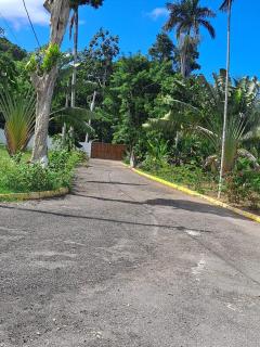 Blue Seas Two - Montego Bay - 1
