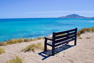 The Last Place in Cabo Pulmo - Cabo Pulmo - 6