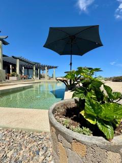 The Last Place in Cabo Pulmo - Cabo Pulmo - 5