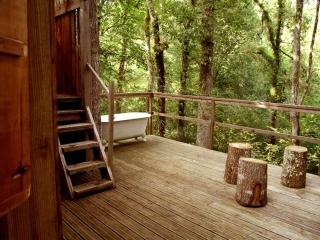 Ecolodge in Sequoia with terrace - Sos - 2