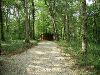 Ecolodge in Sequoia with terrace - Sos - 9