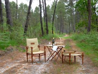 Oakwood Hideaway Stay - 1