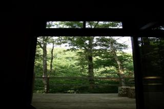 Ecolodge in Sequoia with terrace - Sos - 1