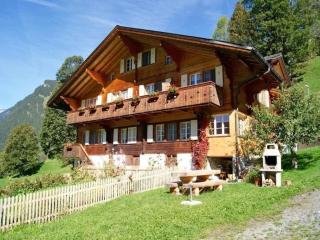 Am Eigen 2 Bett Wohnung - Grindelwald - 0