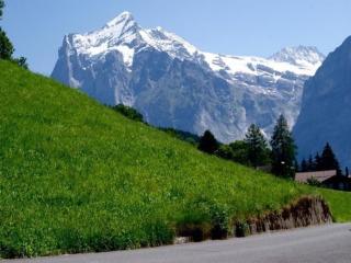 Am Eigen 2 Bett Wohnung - Grindelwald - 4