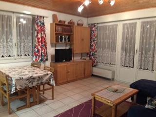 Immeuble Mont-Fort - Nendaz - 1