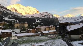 Chäs-Gruebi - Wohnung "Hirsch" 2-4 Personen - b48786 - Wengen - 4