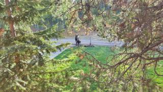 Lumberjack Lodge - Island Park - 5
