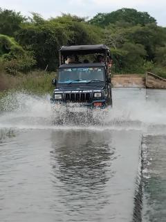 Ethili Lake view & Safari Camp - 0