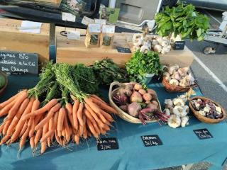 Gîte confortable au cœur de la Loire avec jardin clos - FR-1-496-250 - Sevelinges - 8