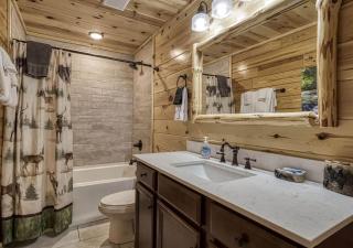 Stunning32 with Free Tickets to Dollywood,Anakeesta,Aquarium,Ziplining&MoreBeds on main level - 4