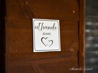 Ihlozi Bush Lodge - Hluhluwe - 4