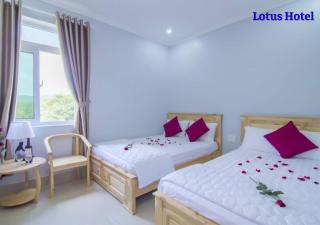 Lotus Phú Quốc Hotel - Phu Quoc - 9