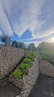 Garic - Veliko Gradiste - 1