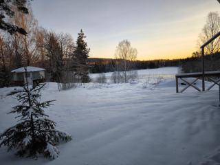 Embracing nature's Swedish house - 8