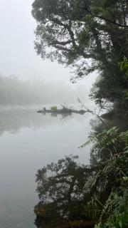 Mynas Nest Riverside Homestay - Siddapur - 7