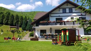 Pensiunea Casa Stefan - Gura Râului - 9