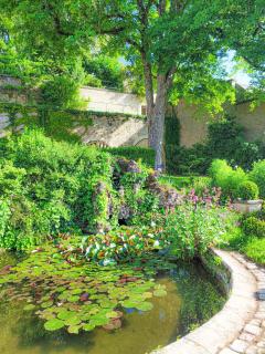 Domaine Le Clos de la Source -Jacuzzi - Petit déjeuner buffet - Atelier d'art - Montrichard - 8