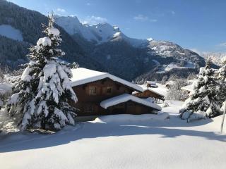 Chalet Le Ruissel - 6 personnes - confortable et bien situé - Gryon - 6