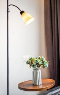 Sunny & Comfort! 2BD New Renovated! City Center - Erevan - 5